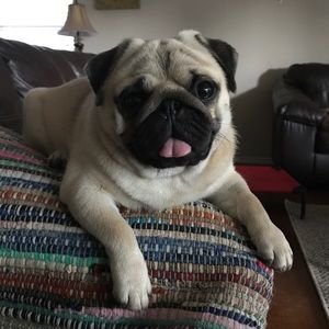 No offers considered if more than 25% listed!!!